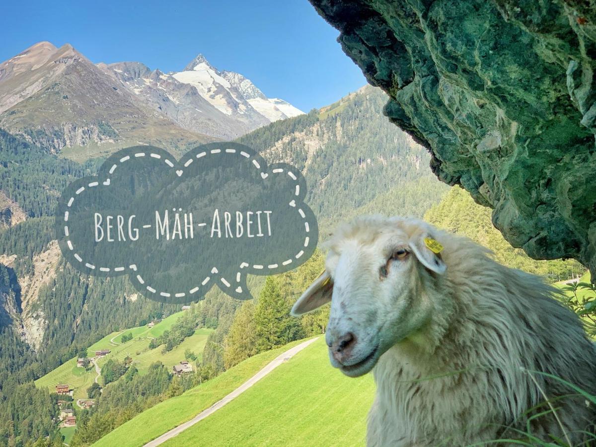 Ferienhof Oberer Gollmitzer Heiligenblut Esterno foto